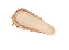 Pó Facial Translucido Matte Retinol Payot - Imagem 5