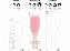 THEULTIMATE DETANGLER NATURALLYORANG PINK - Imagem 5