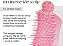 SCALP BRUSH - PINK - Lote: NA - Imagem 5