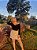 Body Eloise Preto - Imagem 2