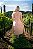 Vestido Grace Rosa Chá - Imagem 6