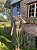 Vestido Grace Musgo - Imagem 5
