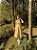 Vestido Celine Bordado Amarelo Manteiga - Imagem 4