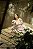 Vestido Mary Manga Longa Toile de Jouy Cherry - Imagem 4