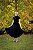 Vestido Pérola Veludo Preto - Imagem 8