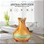 Difusor Aromatizador E Umidificador Com Controle Remoto Ambientes 400ml Led 7 Cores - Imagem 14