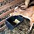 Kit 4 Comedouro 25 Litros Cocho Ração Cavalo Vaca Bezerro - Imagem 3