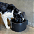 Kit 3 Cocho Comedouro Polietileno 8l Bebedouro Suporte Baia - Imagem 4
