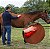 ESCOVA MAGICA PARA CAVALOS MULTIUSO Magic Horse Brush - Imagem 4