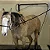 SUPORTE PARA MANGUEIRA DE BANHO Lavatório Cavalo - Imagem 2