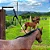 EIXO EDUCADOR PARA AMARRAR CAVALOS com argola e parafusos - Imagem 4