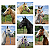 Cabresto 7 Nós Reforçado Ideal Para Manejo De Cavalos Colors - Imagem 2