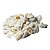 01 Kg Cascalho Bruto Quartzo Leitoso 10 a 20mm Tipo B - Imagem 6