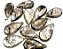 10 Pingente Gota Cristal Extra Incrustado Turmalina Prata 950 Atacado - Imagem 1