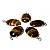05 Pingente Cabochão Olho de Tigre Montagem Garra Prata 950 - Imagem 4