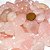 1 kg Quartzo Rosa Rolado Pedra Natural M 20 a 35mm Classe B - Imagem 3