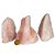 03 Cristal Rosa Pedra Pé Serrado 300 a 400g 8 a 13cm Tipo B - Imagem 3