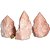 05 Cristal Rosa Pé e Bico Serrado 500 a 1000g 12cm Tipo B - Imagem 1