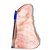 10 Cristal Rosa Pedra Pé Serrado Natural 1 a 2Kg 18cm Tipo B - Imagem 3