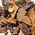 01 Kg Cascalho Bruto Bronzita Natural 10 a 70mm Tipo A - Imagem 6