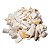 05 Kg Cascalho Bruto Quartzo Leitoso 10 a 20mm Tipo B - Imagem 5