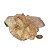 01 Drusa Cristal Natural Tam M 1,6 a 1,8Kg 15 a 25cm Tipo B - Imagem 4