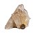 01 Drusa Cristal Natural Tam M 1,4 a 1,6Kg 15 a 25cm Tipo B - Imagem 5