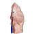 01 Cristal Rosa Pedra Pé e Bico Serrado 2 a 3Kg 17cm Tipo B - Imagem 4