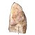 Cristal Rosa Pedra Pé Serrado Natural 138Kg 63cm Classe B - Imagem 3