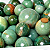 1 Kg Esfera Bola Quartzo Verde 20 a 90mm Classe C ATACADO - Imagem 1
