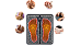 MASSAGEADOR ELETRICP DE PES - Imagem 2
