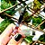 CANETA ONE PIECE APAGAVEL CX C/12 UNIDADES - Imagem 3