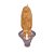 Vela Nossa Senhora de Guadalupe - 10cm - Imagem 1