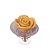 Rosa maior - Imagem 1