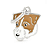Plaquinha de Identificação Raça Jack Russel Broken - MyFamily - 714187 - Imagem 1