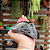 Mordedor Casco de Boi Supimpa - Alecrim - 495691 - Imagem 2