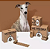 Dispenser Cata Caca + 7 rolos Aroma Café - Vetreska - 686657 - Imagem 2