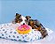Pelúcia com Apito Donuts Jumbo Morango - ZippyPaws - 159326 - Imagem 3