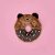 Donuts Ursinho Amigo - ZippyPaws - 937489 - Imagem 2