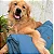 Colchonete passeio para cães e gatos Bordô - p.Dog - 215480 - Imagem 2