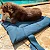 Colchonete passeio para cães e gatos Bordô - p.Dog - 215480 - Imagem 3