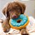 Pelúcia com Apito Donuts M Azul - ZippyPaws - 617720 - Imagem 2
