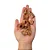 Petisco Pulmão Ovino 80g - LUV - 738679 - Imagem 3