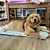 Colchonete para Cães com botões de pressão GG - Pupet's - 52299 - Imagem 1