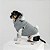 Casaco Soft Coala C/Capuz Cinza - Blive - 492377 - Imagem 4