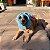 Touca Stitch Azul - Blive - 443751 - Imagem 3