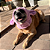 Touca Angel Rosa - Blive - 690708 - Imagem 2
