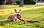 Brinquedo Cobra Tough Seamz com Apito 94cm - Outward Hound - 794504 - Imagem 3