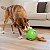 Bola Interativa C/6 Compartimentos Esconde Petiscos e 6 Esquilos de Pelúcia - Outward Hound - 473116 - Imagem 3