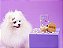 Petisco Natural para Cachorro Quipoca Hello Kitty Crispies de Filé Suíno - Wow - 575365 - Imagem 3